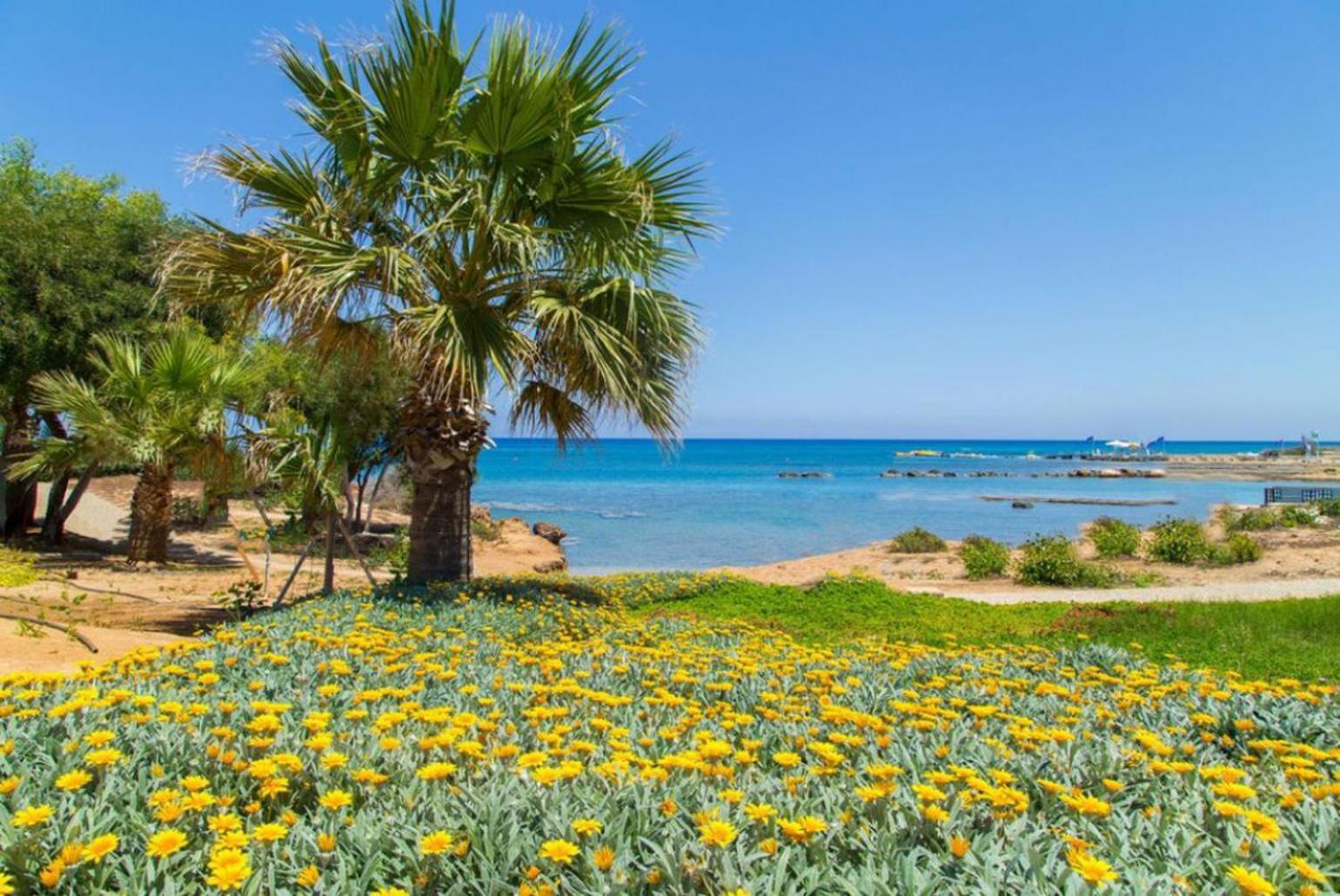 Villa Constantinos Kato Yialia المظهر الخارجي الصورة